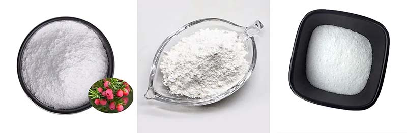 Paclitaxel CAS:33069-62-4 Paclitaxel CAS:33069-62-4